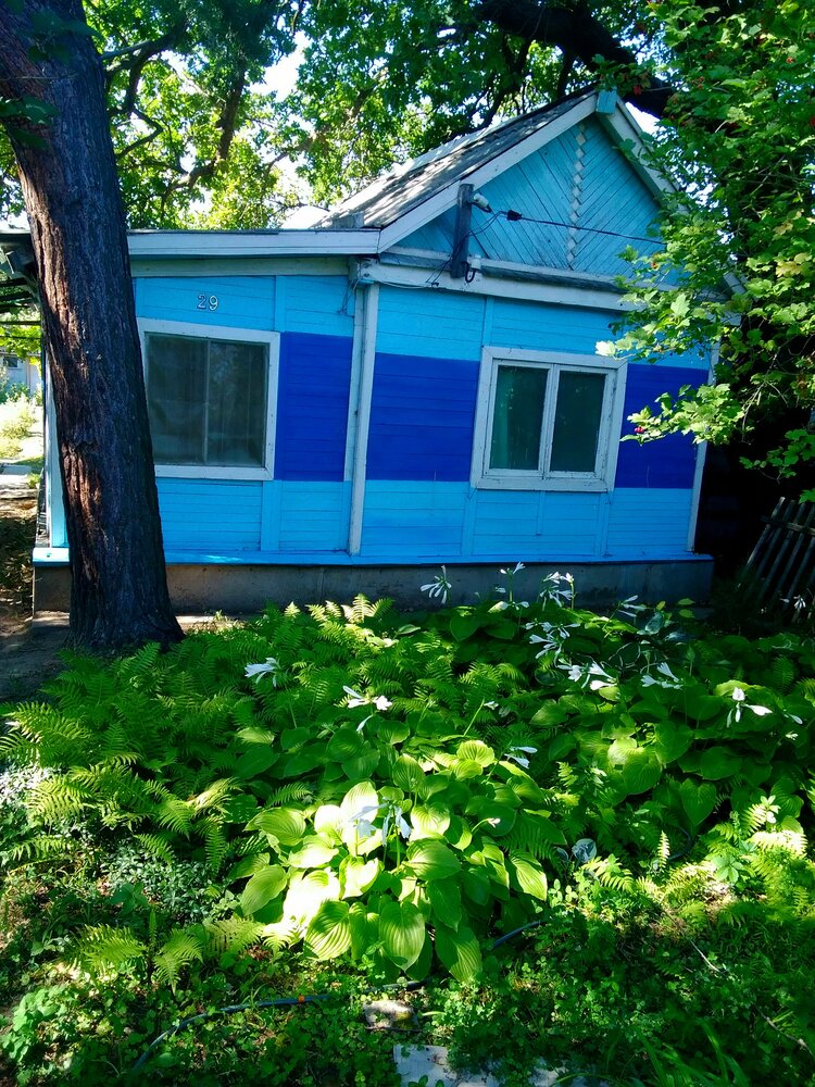 Фотография автора Васильева Львовна