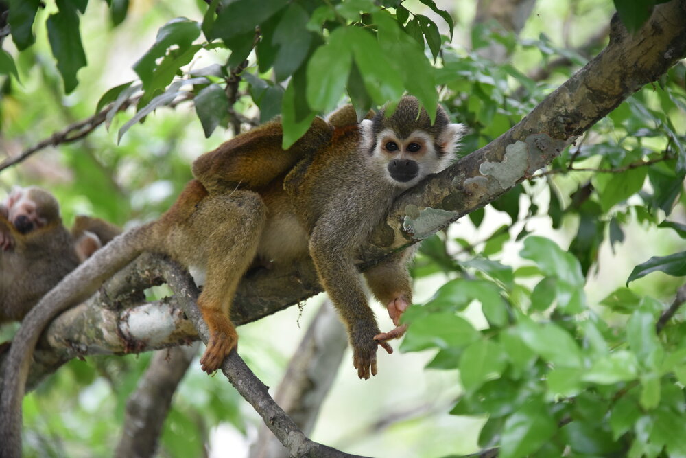 Photograph by Camilo Martinez