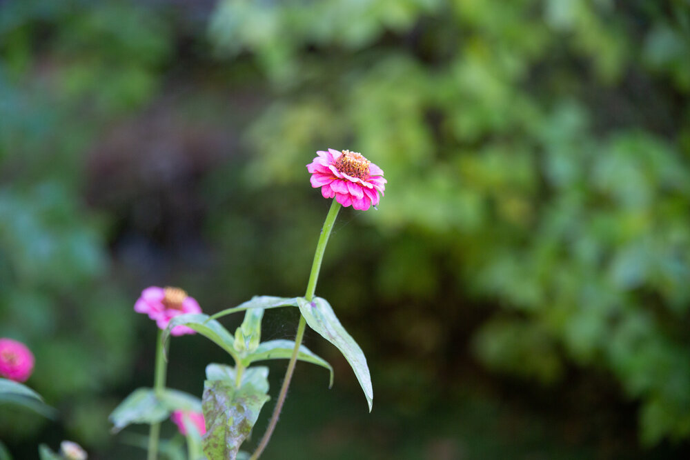Photograph by Заглубоцкая Ольга