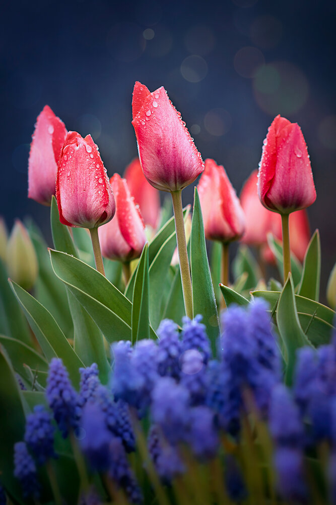 After rain