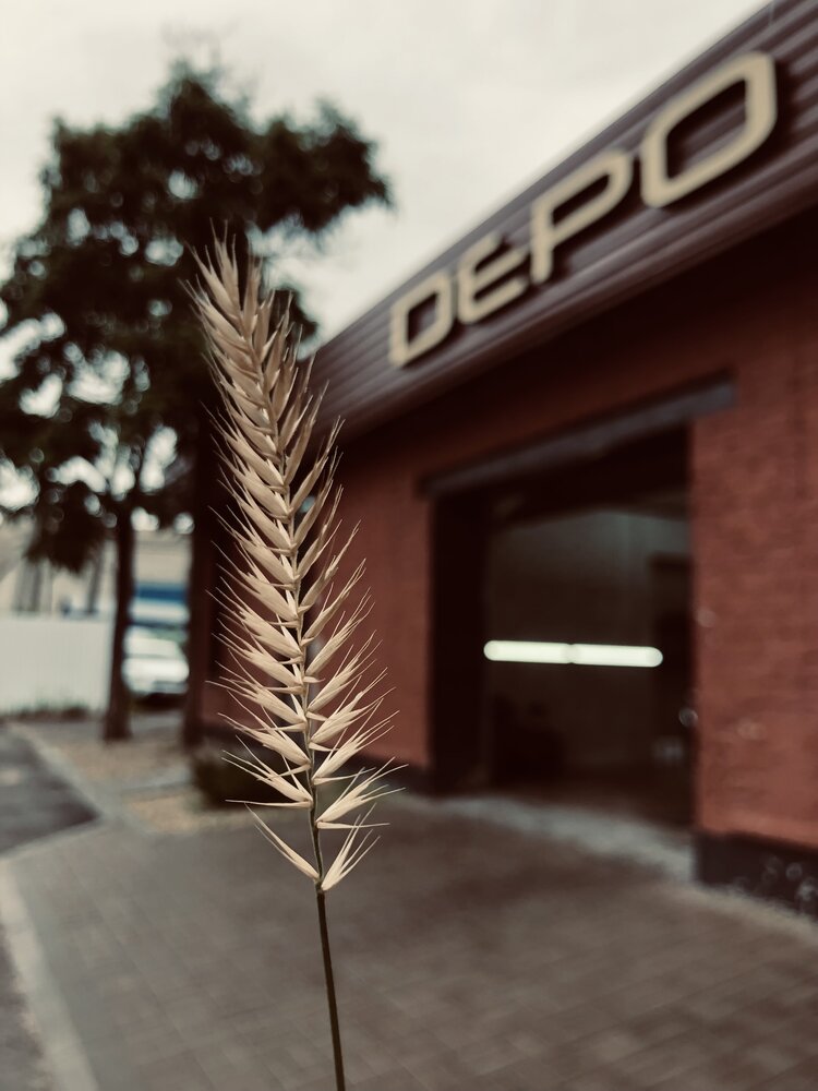 Photograph by Алексей Хитрин