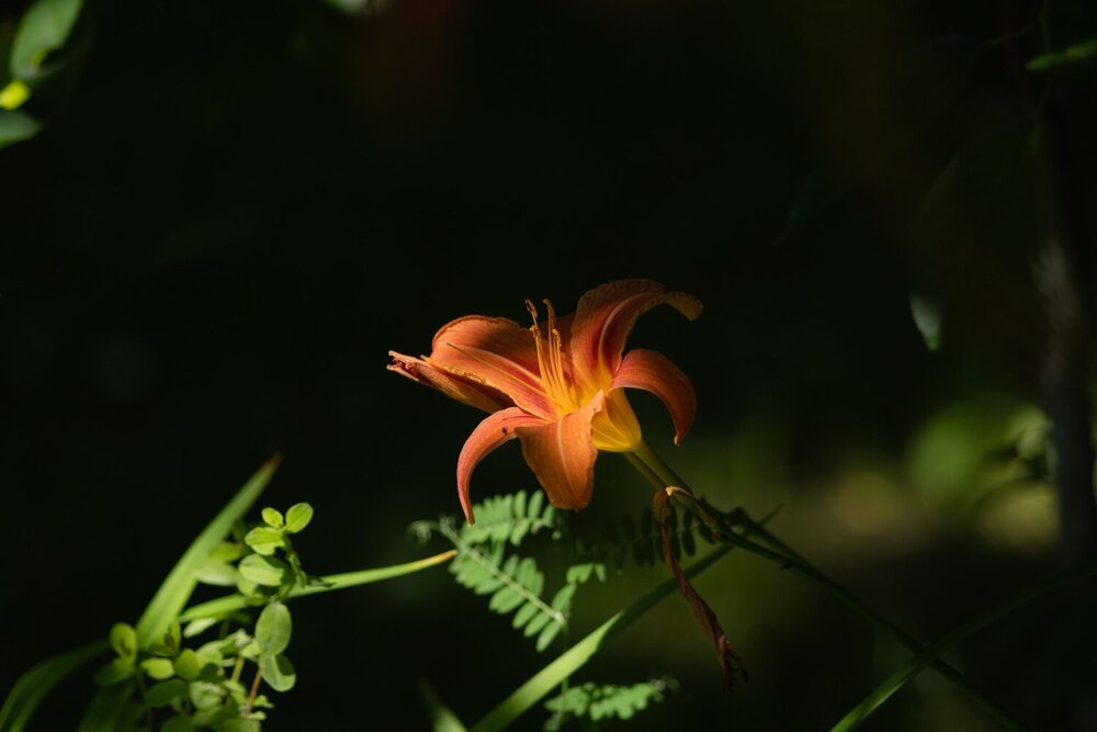Photograph by Захаров Максим
