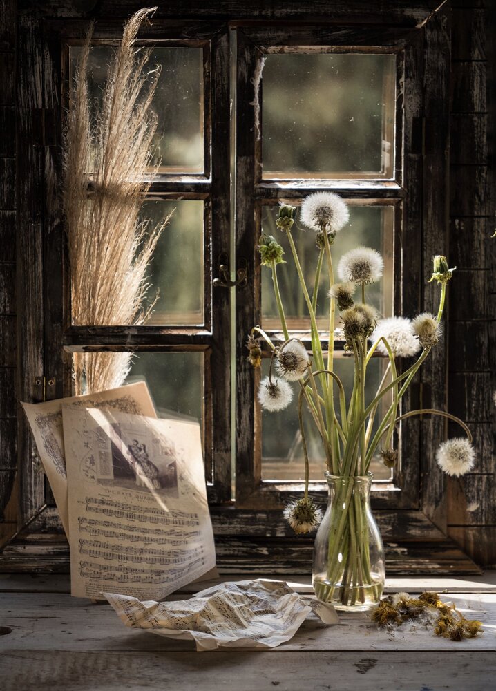 Photograph by Olga Schmidt