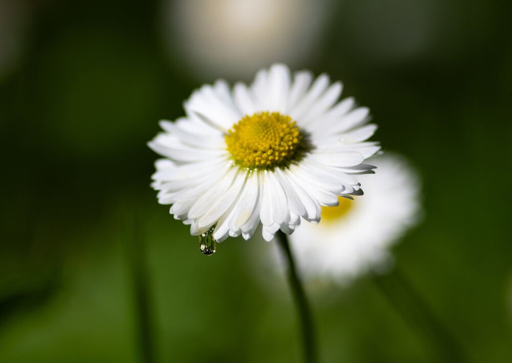Photograph by Захаров Максим