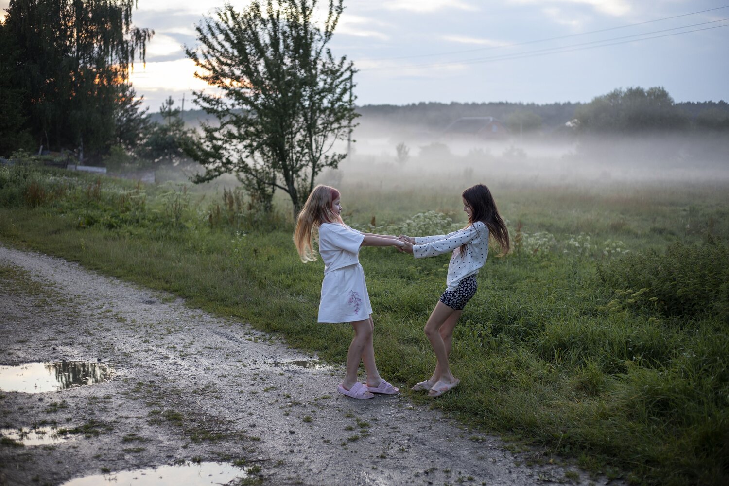 Photo #13881646