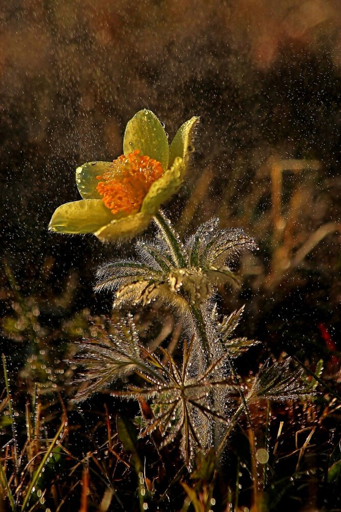 Photograph by Александр Велигура