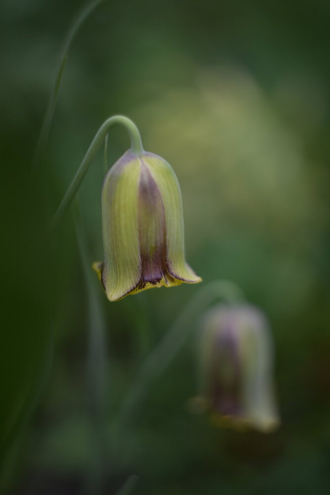 Photograph by Наталья Ткаченко