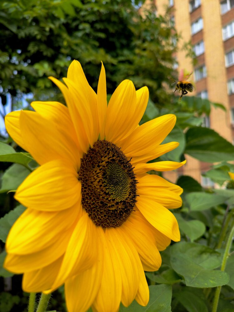 Photograph by Сергей Подлевский