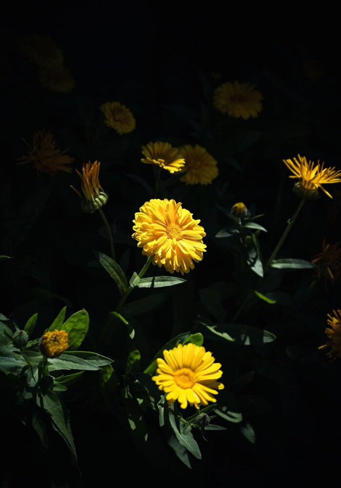 Photograph by Misha Bondarev