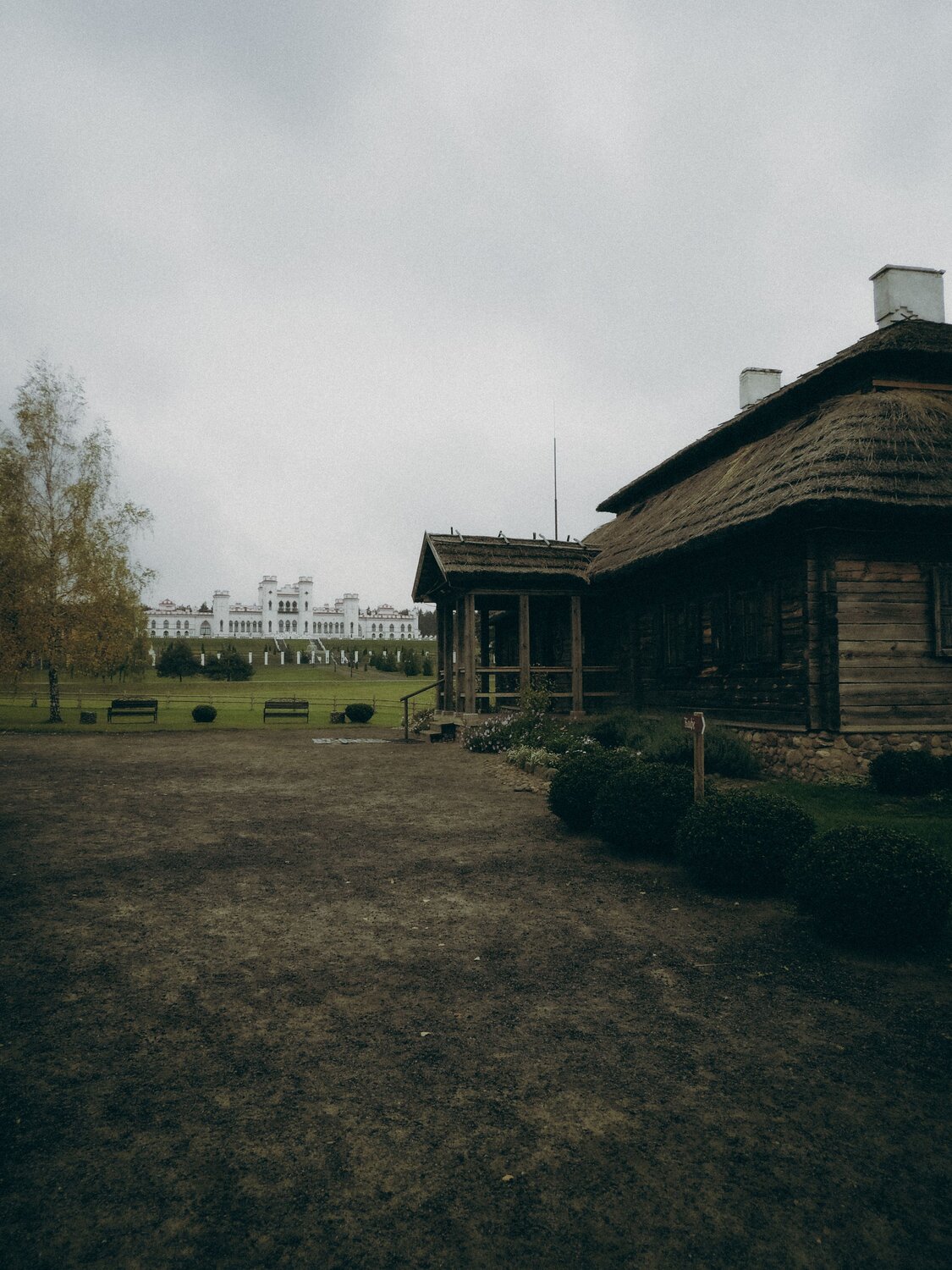 Photo #13881793