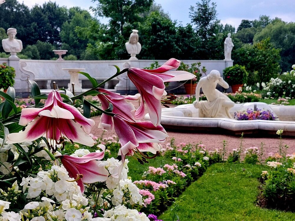 Photograph by Павел Алексеев