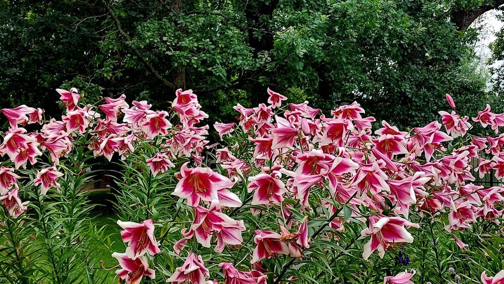 Photograph by Павел Алексеев