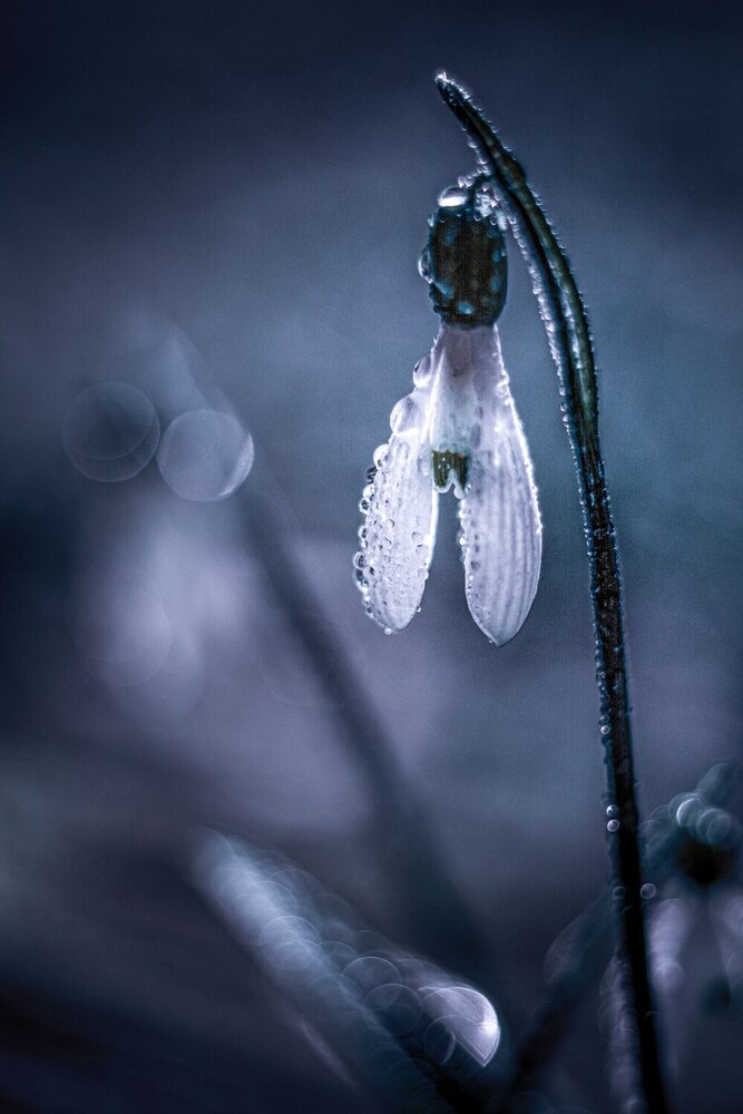 Photograph by Григорова Мария