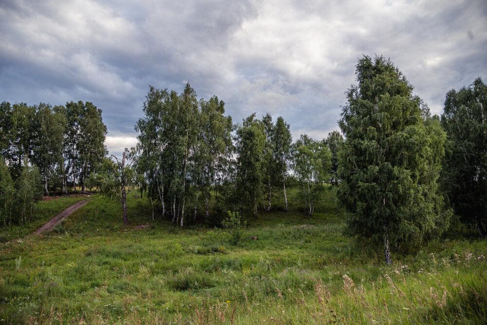 Фотография автора Максим Ладутько