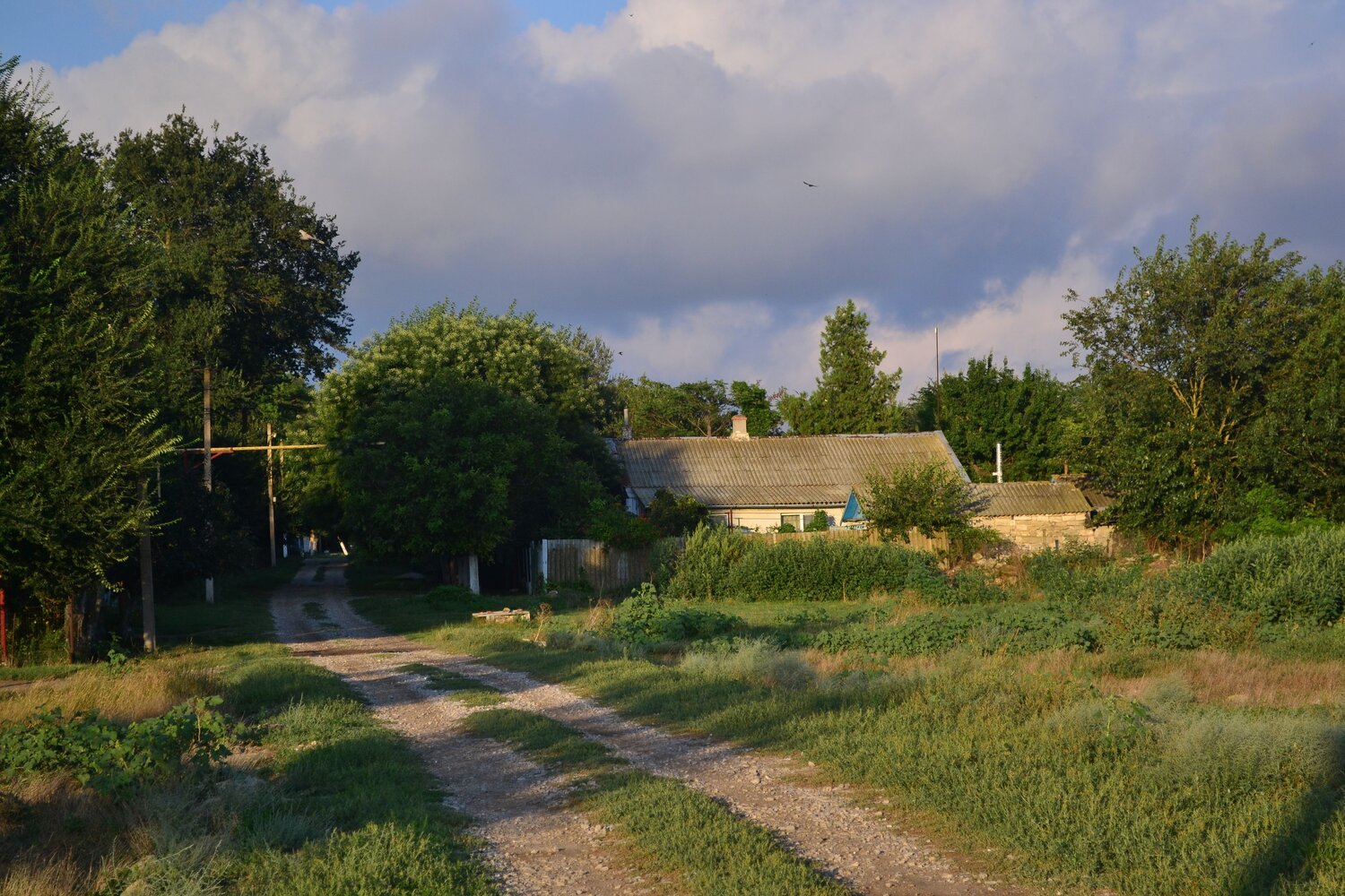 Photo #13881912