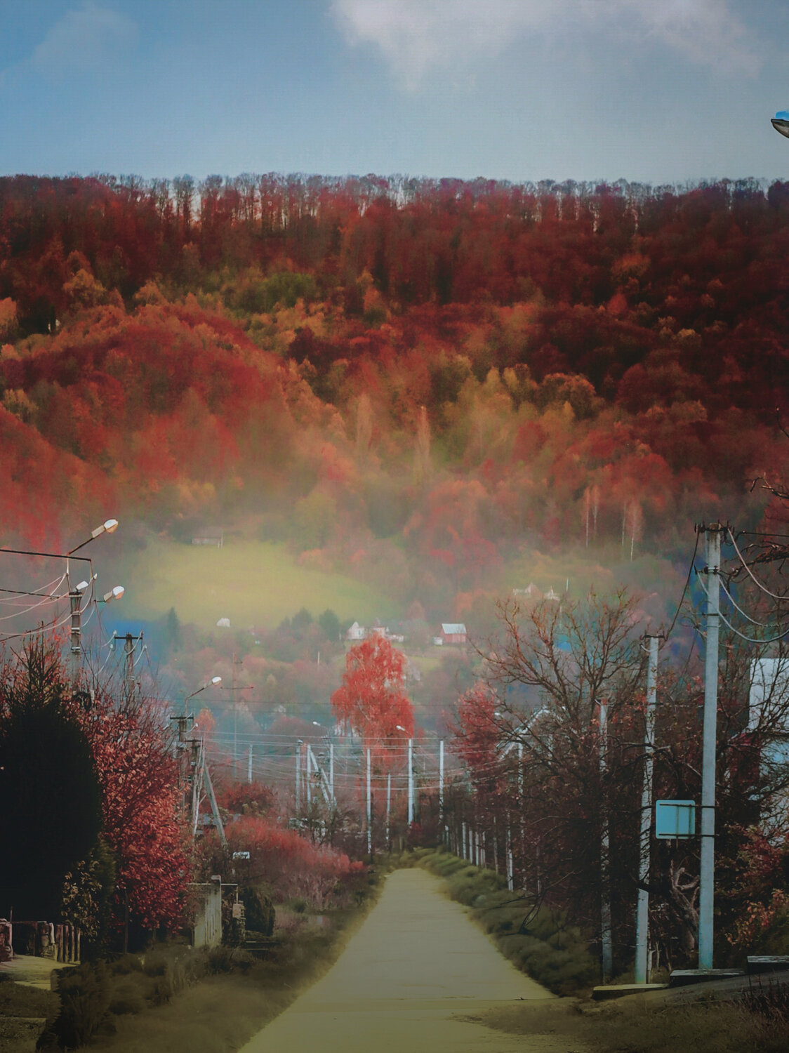 Photo #13881937