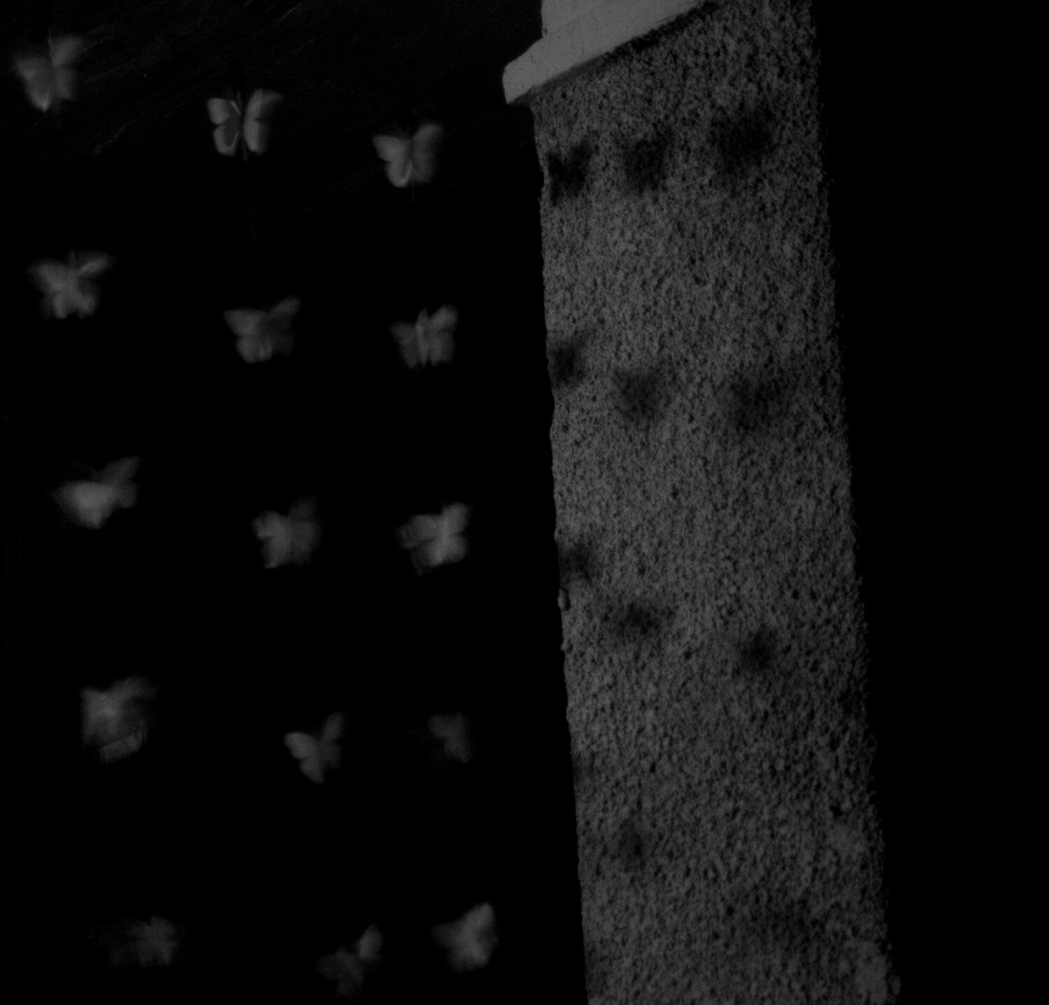 Photo #13881961