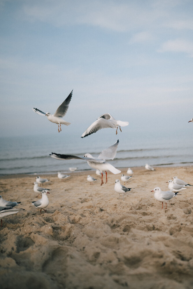 Photograph by Полина Веремейчук