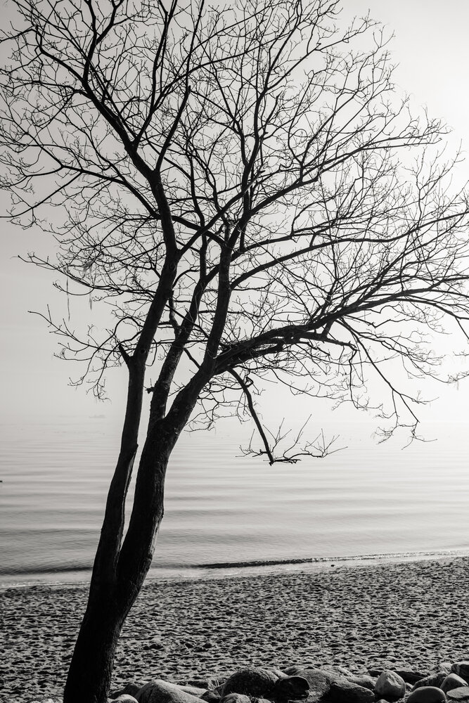 Photograph by Полина Веремейчук