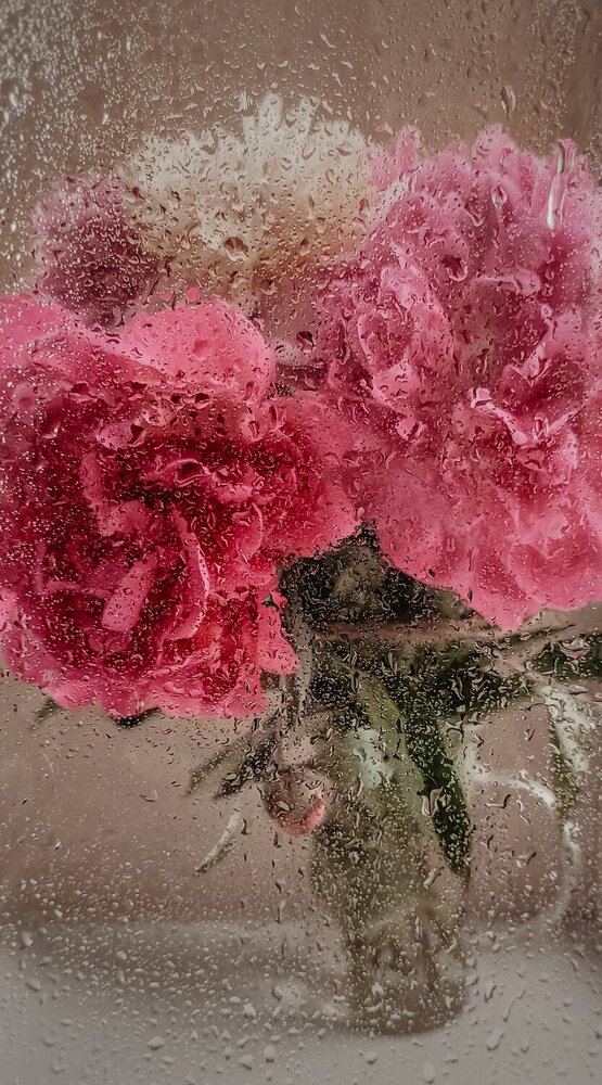 Photograph by Мазенко Галина