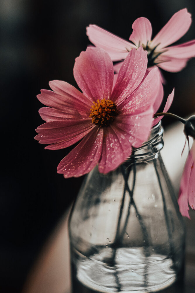 Photograph by Мазенко Галина