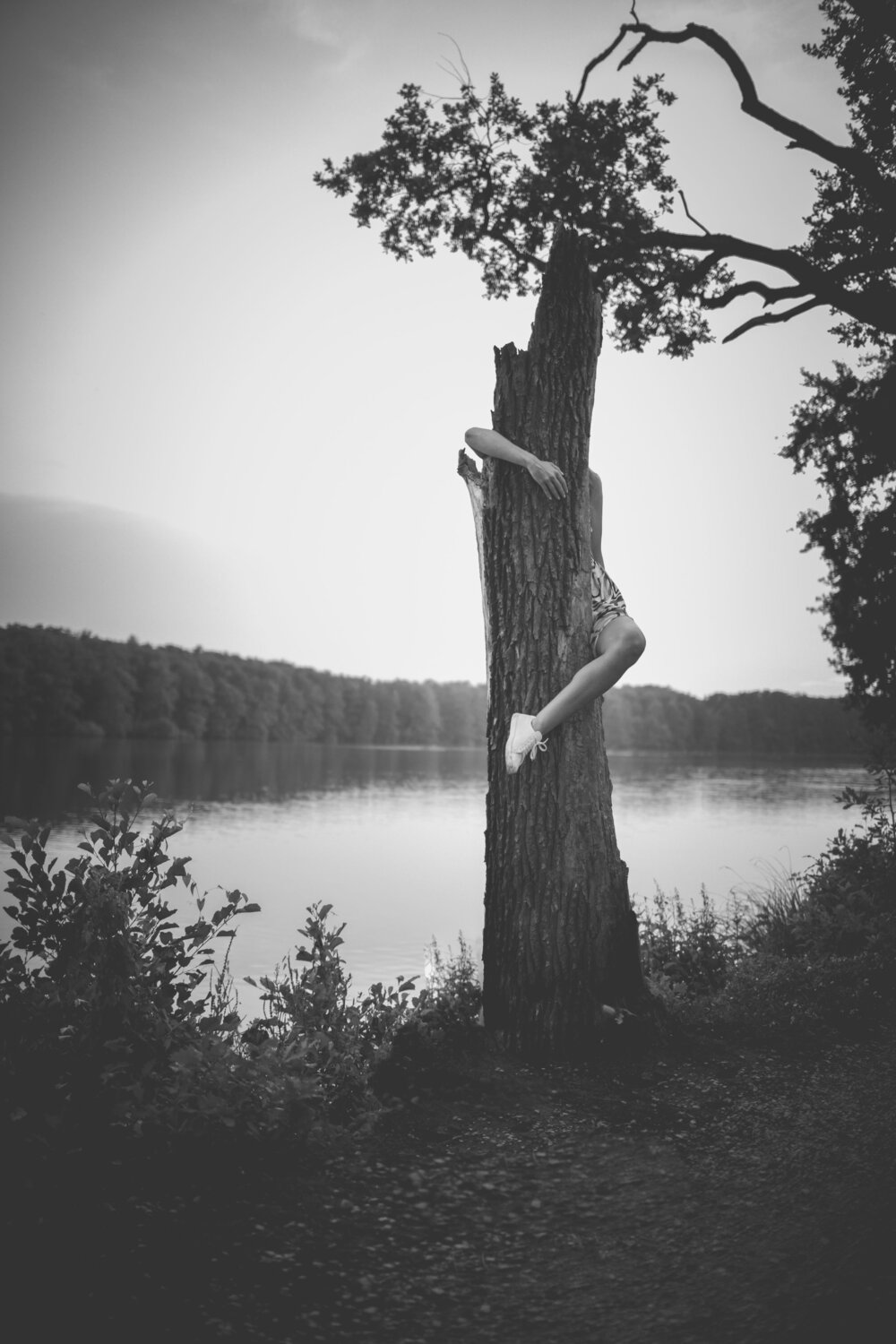 Photo #13882065