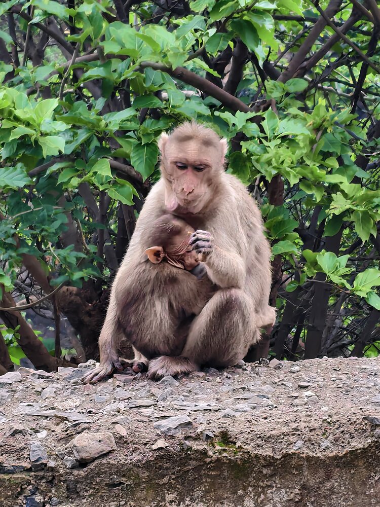 Photograph by Deore Devendra