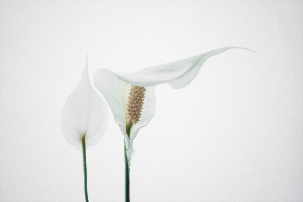 Photograph by Artem Mezhuev