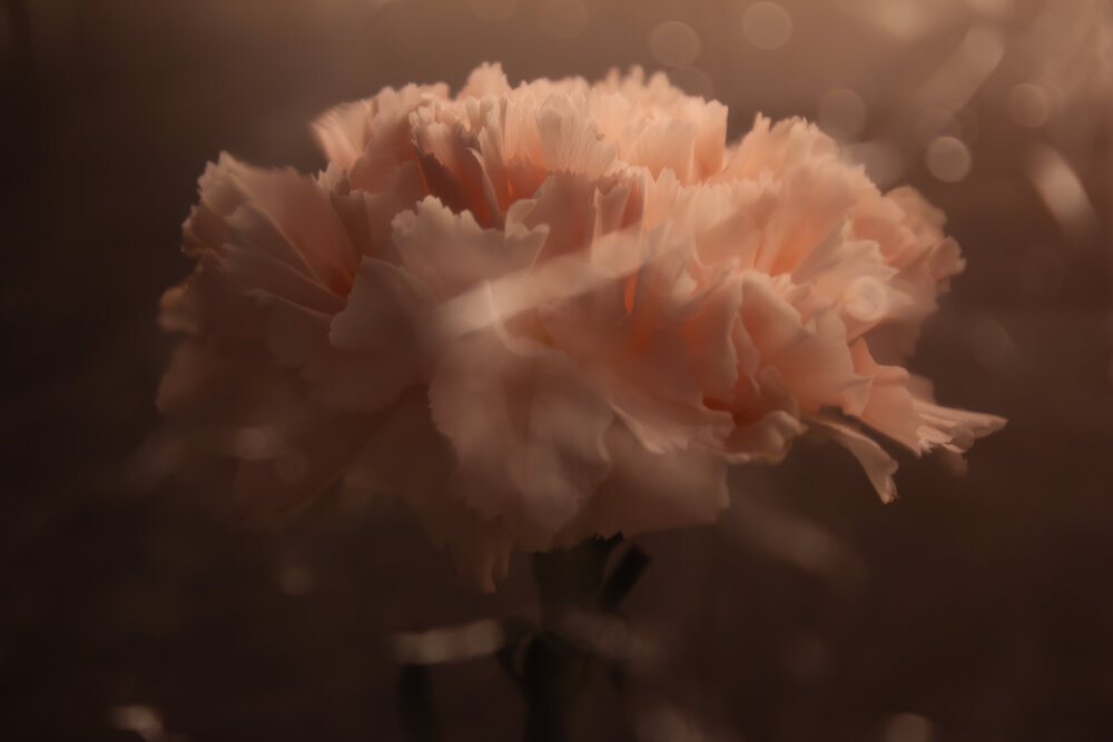 Photograph by Ирина Григорьевна