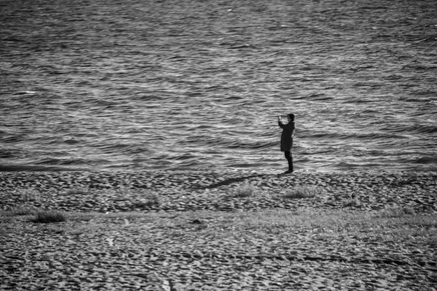 Photo #13882148