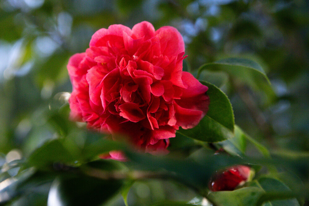 Photograph by Заглубоцкая Ольга