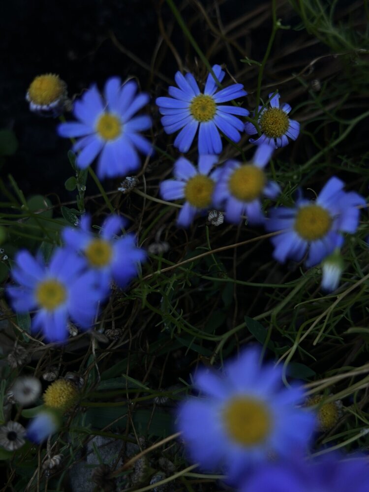 Photograph by Екатерина Курская