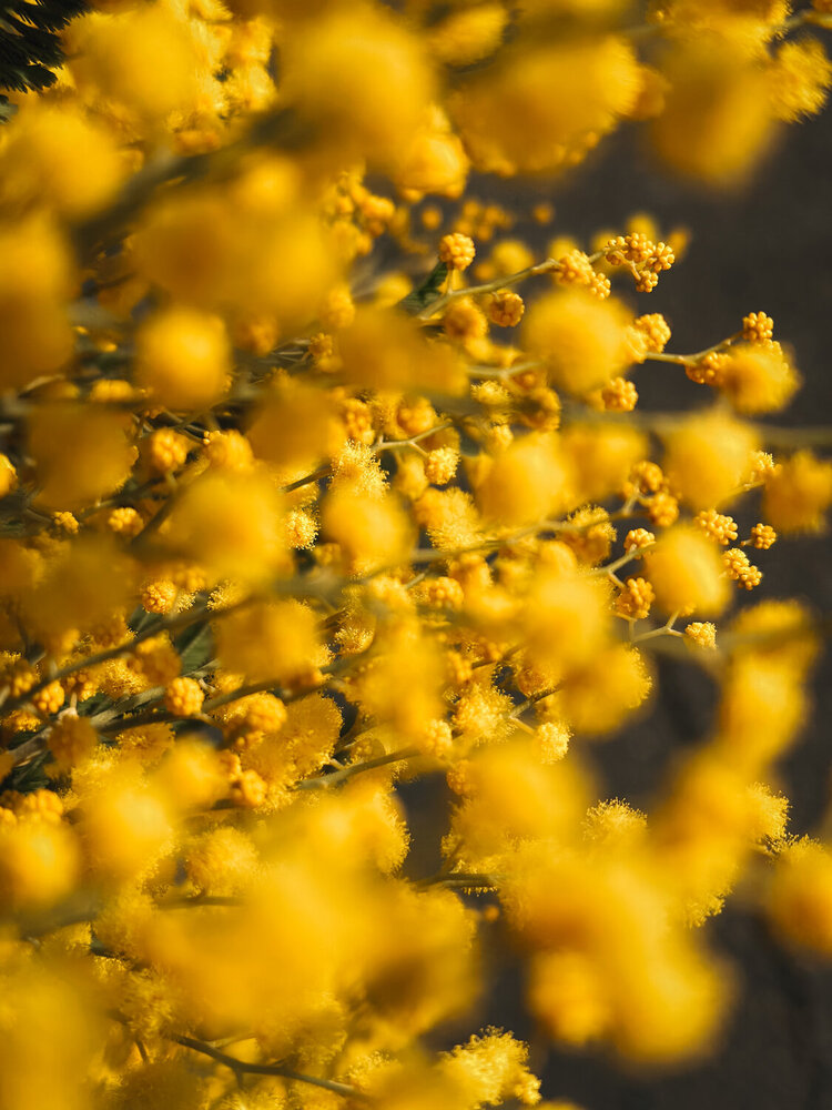 Photograph by Екатерина Курская