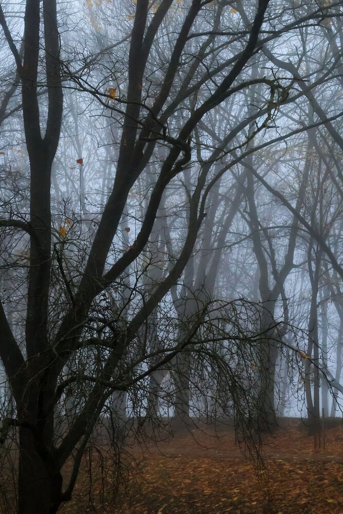Photograph by Olga Asson