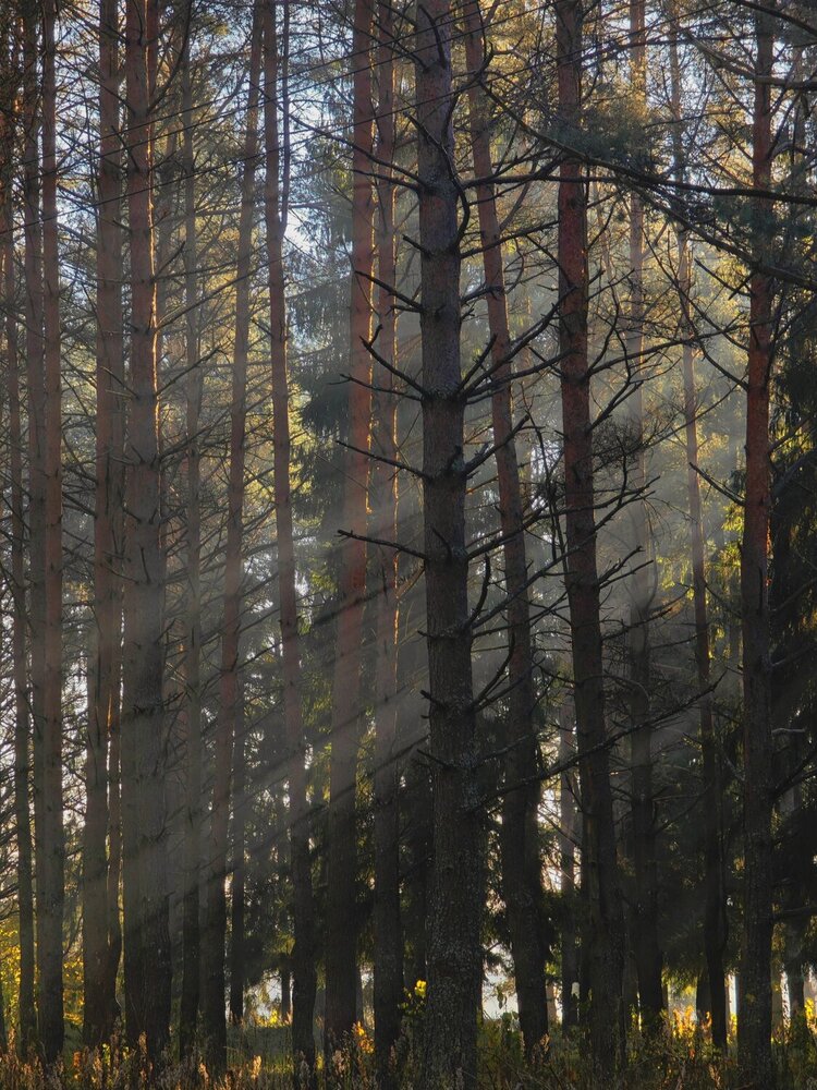 Photograph by Наташа Данилова