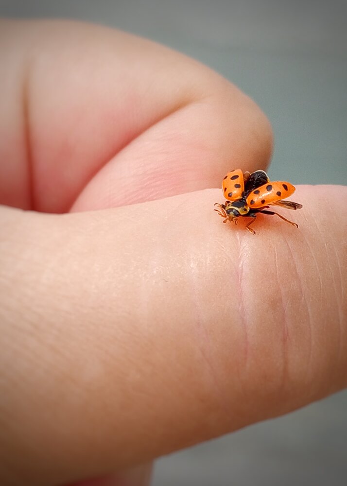 Photograph by Ольга Куцева