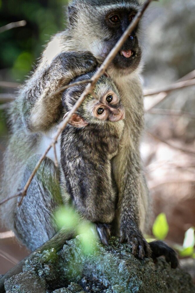 Photograph by Callum Naidoo