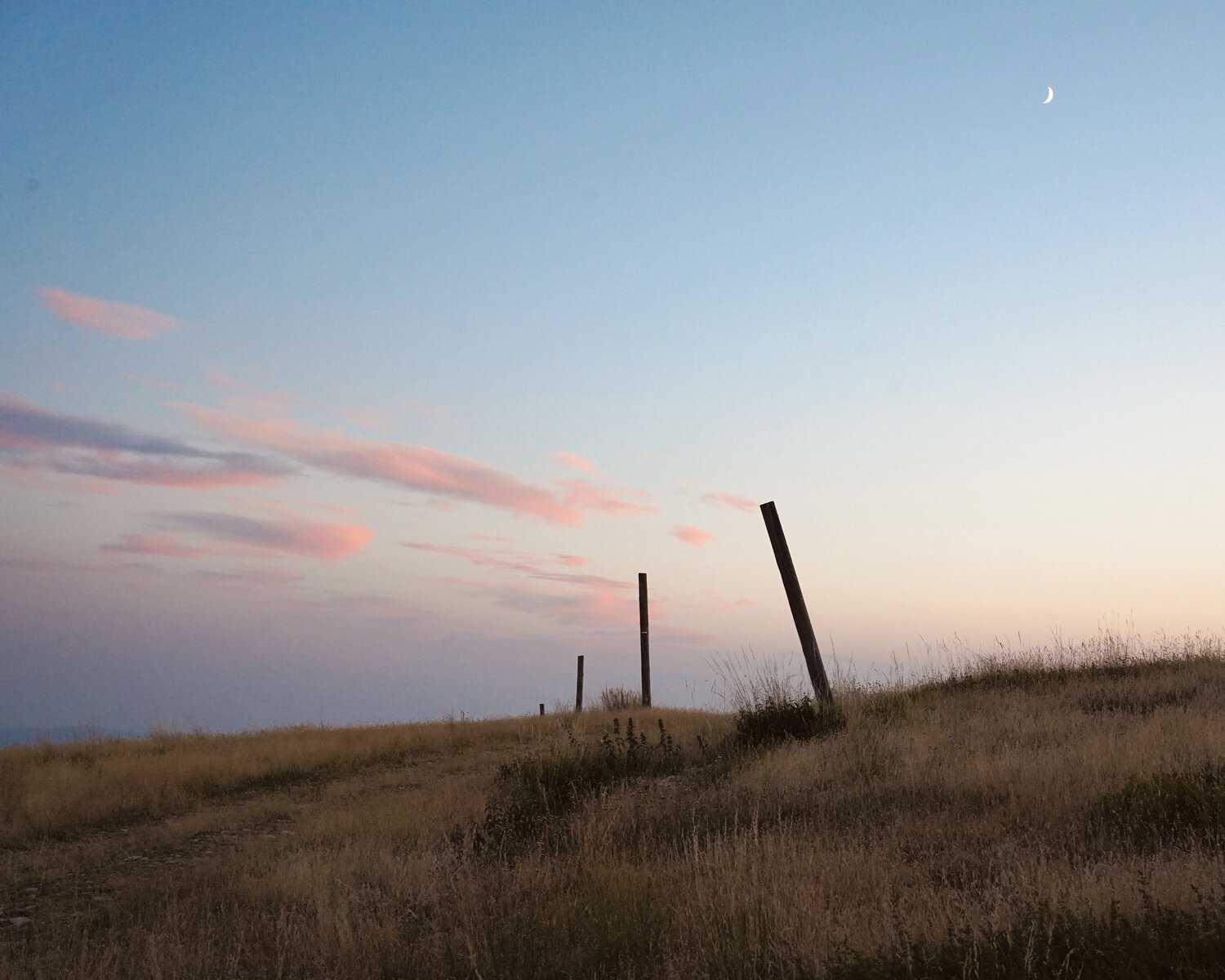 Photo #13882275