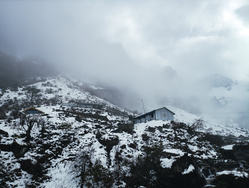 Silence of the Snow