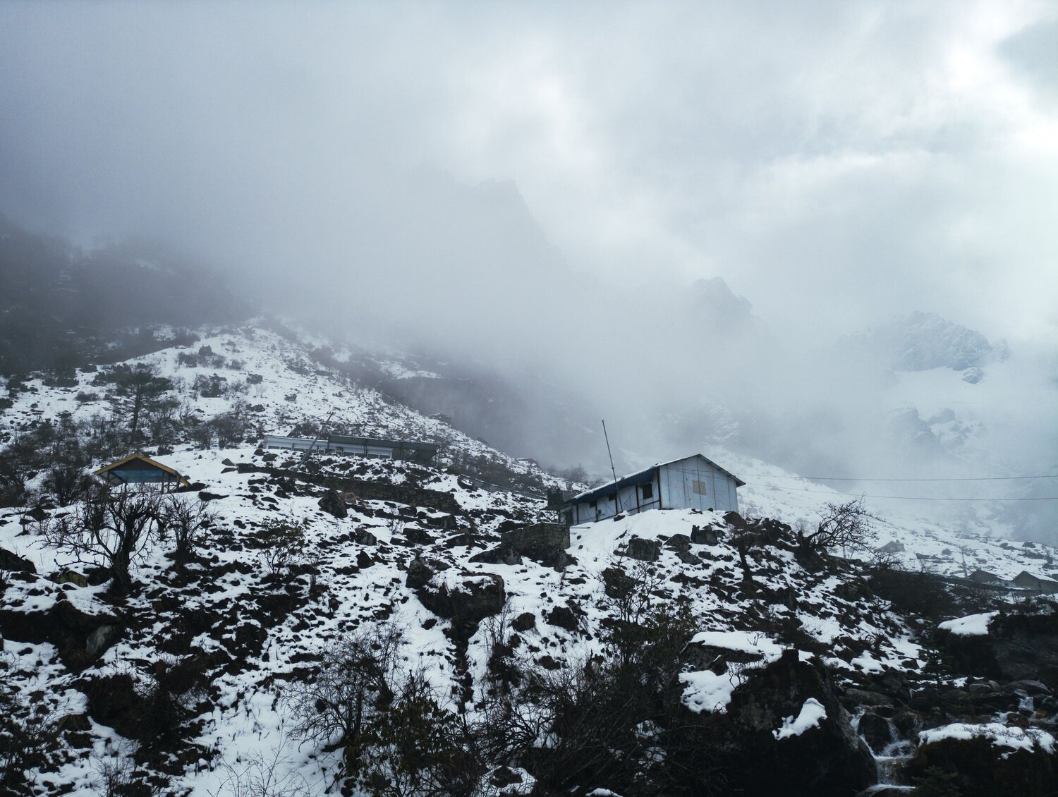 Silence of the Snow