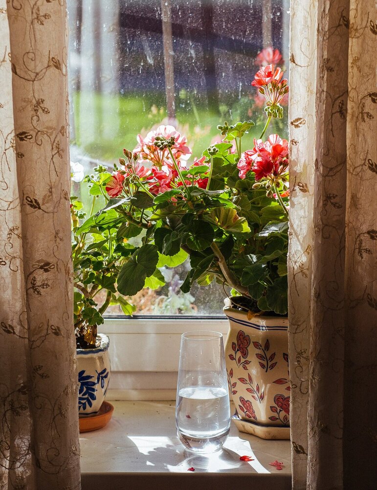 Photograph by Вера Владимирова