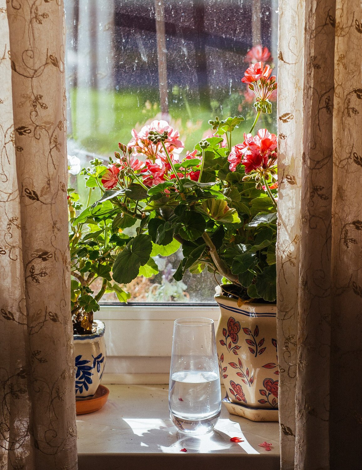 Photo #13882308