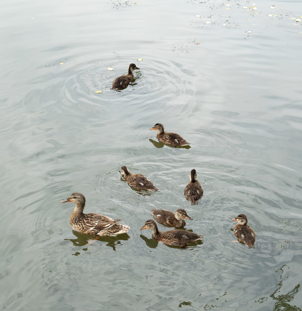 Photograph by Елена Харитонова