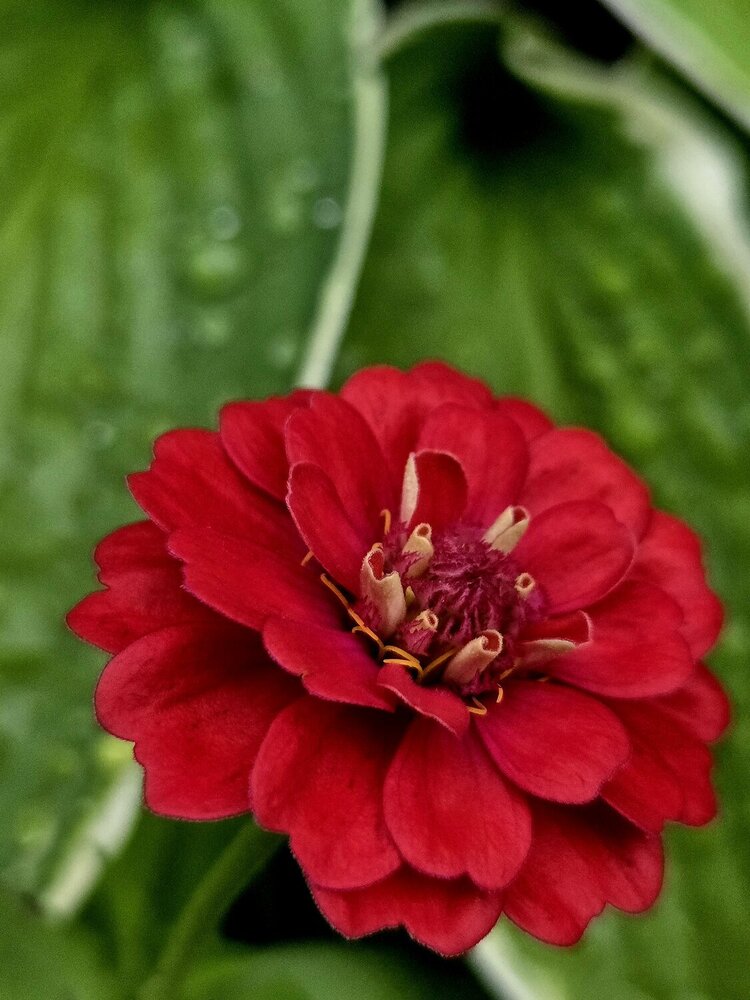 Photograph by Елена Кичигина