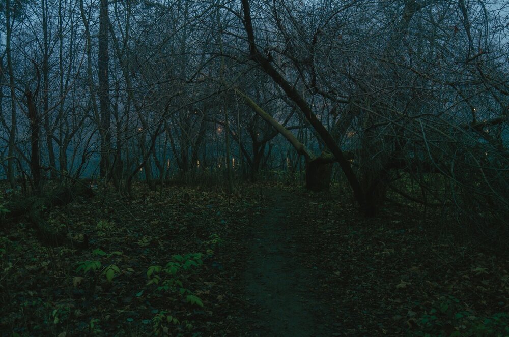 Photograph by Вера Владимирова