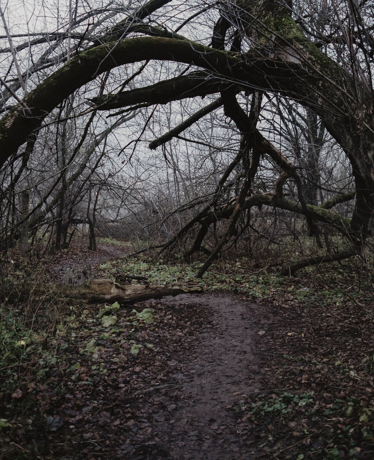 Photo #13882358