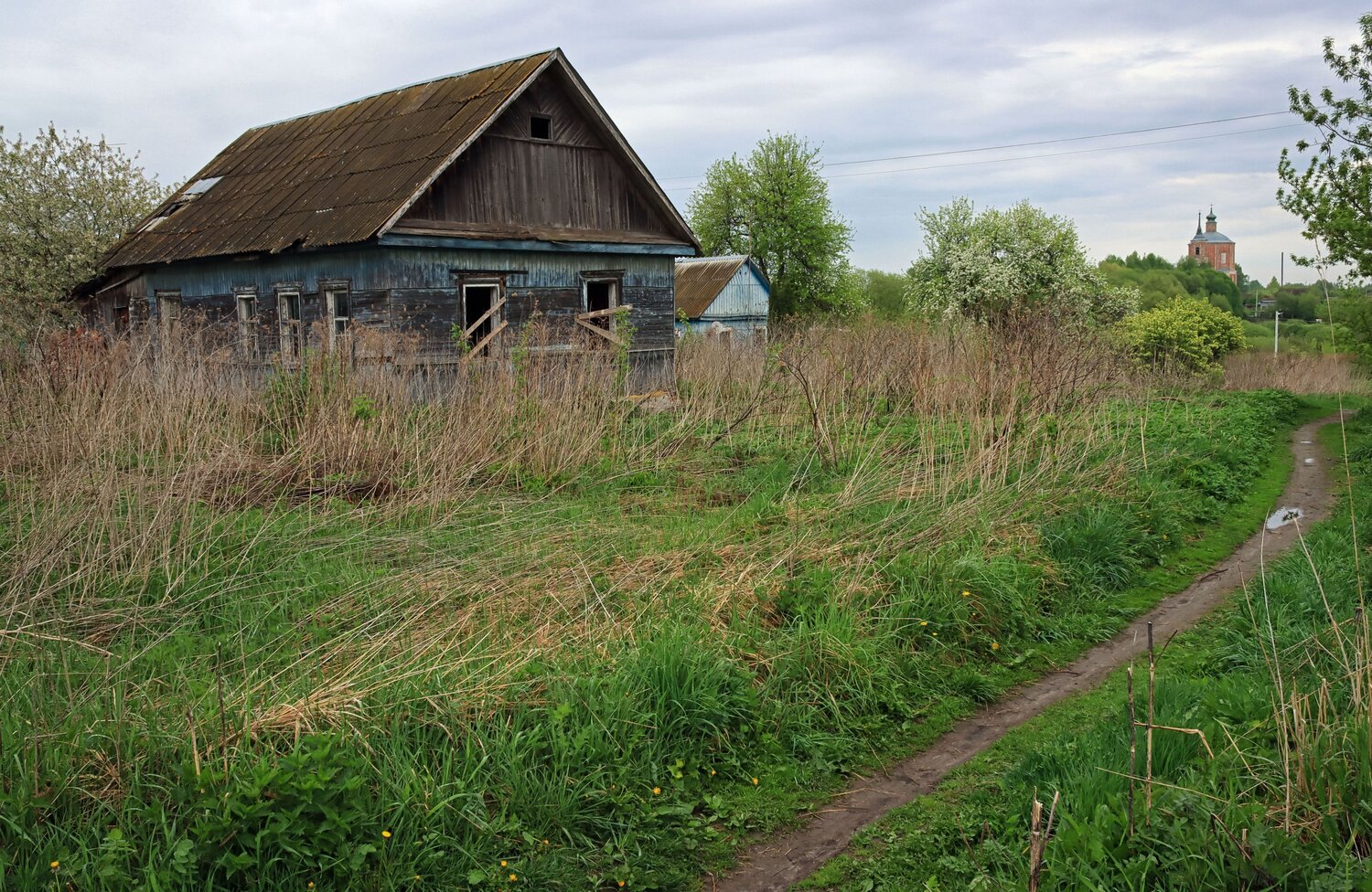 Photo #13882565