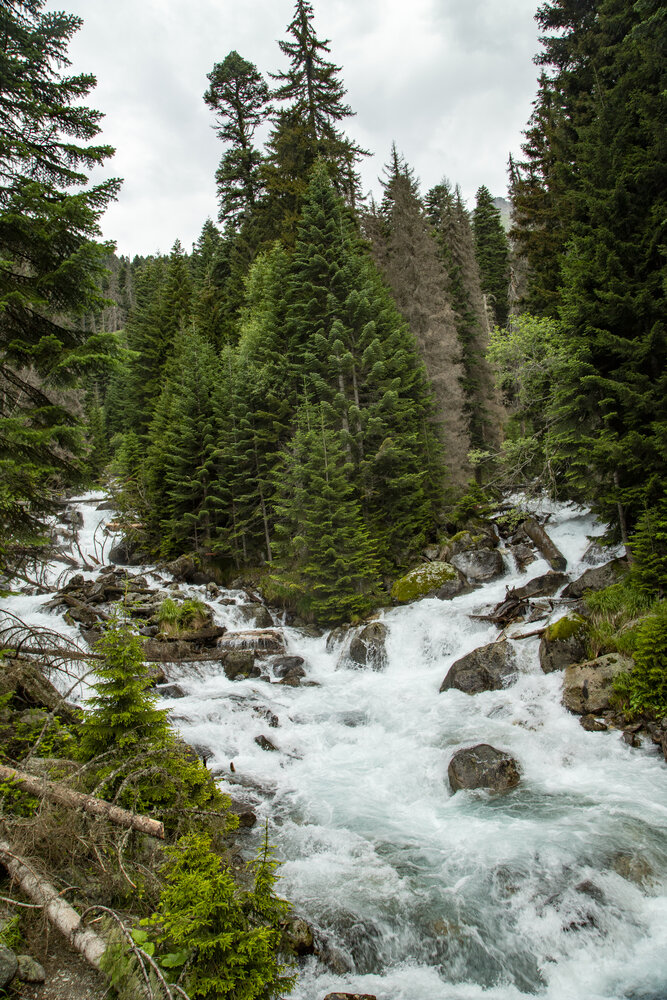 Photograph by Alena Poklonskaia