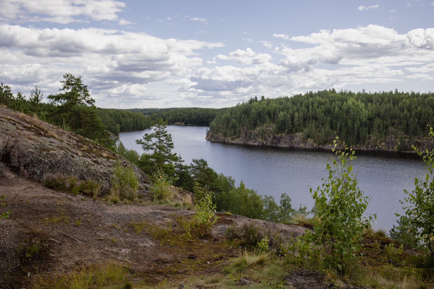 Photo #13882605