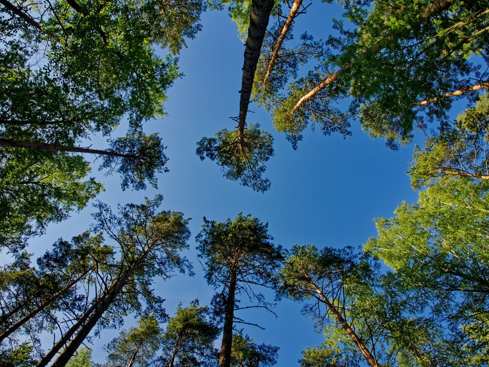 Photograph by Андрей Панин